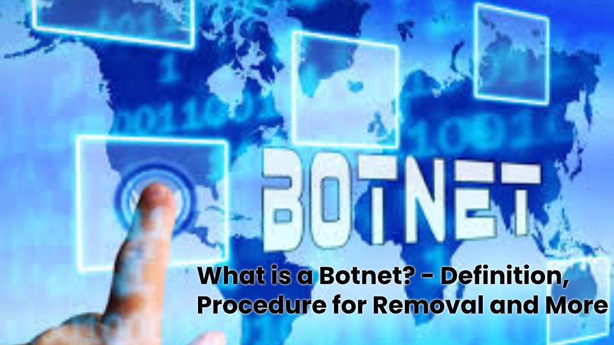 What is a Botnet? – Definition, Procedure for Removal and More