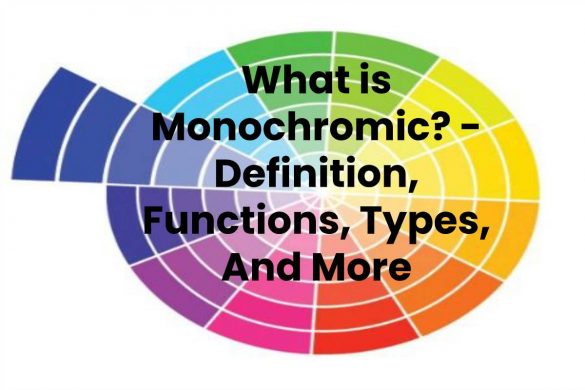 What is Monochromic? - Definition, Functions, Types, And More