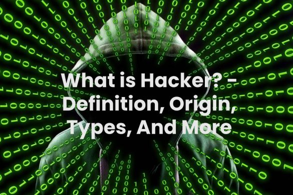 What is Hacker? - Definition, Origin, Types, And More