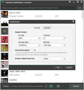 music converter for spotify tuneskit download