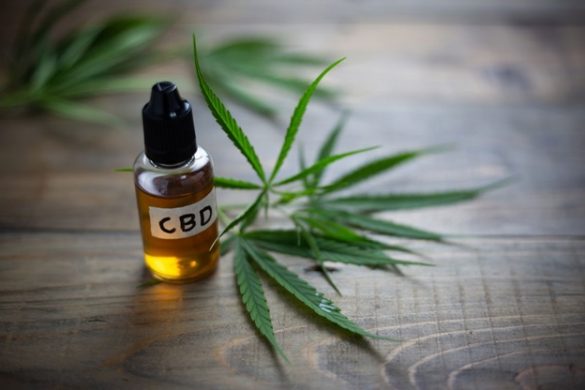 All you need to know About CBD Product