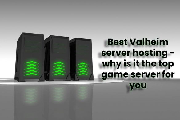 Best Valheim server hosting - why is it the top game server for you