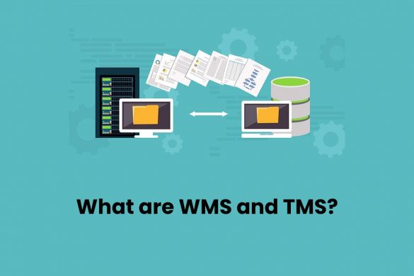 What are WMS and TMS?