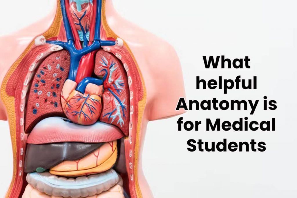 What helpful Anatomy is for Medical Students