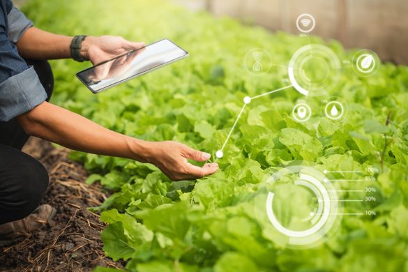 Agriculture Software Development Guide