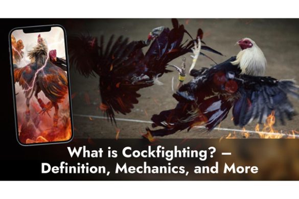 What is Cockfighting