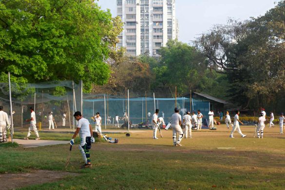 Top Cricket Coaching Classes in Chennai - Cricket Academies  