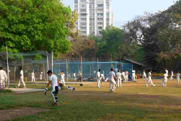 Cricket Coaching Classes in Gwalior