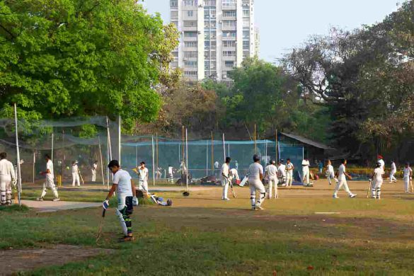 Top Cricket Coaching Classes in Chandigarh - Cricket Academies