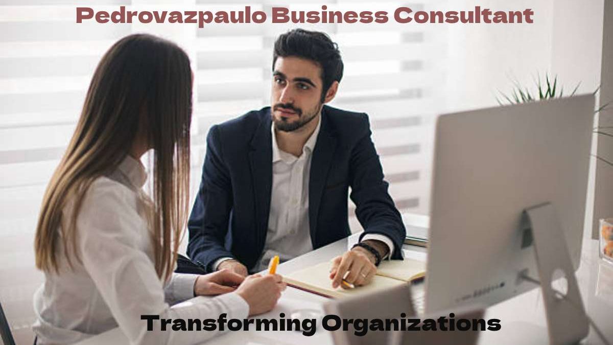 Pedrovazpaulo Business Consultant Transforming Organizations