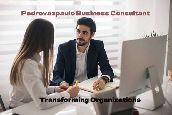 Pedrovazpaulo Business Consultant