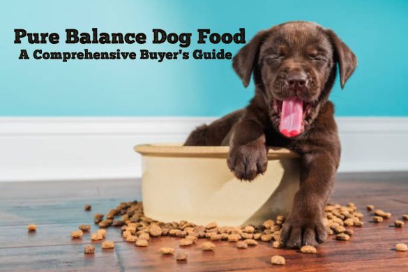 Pure Balance Dog Food