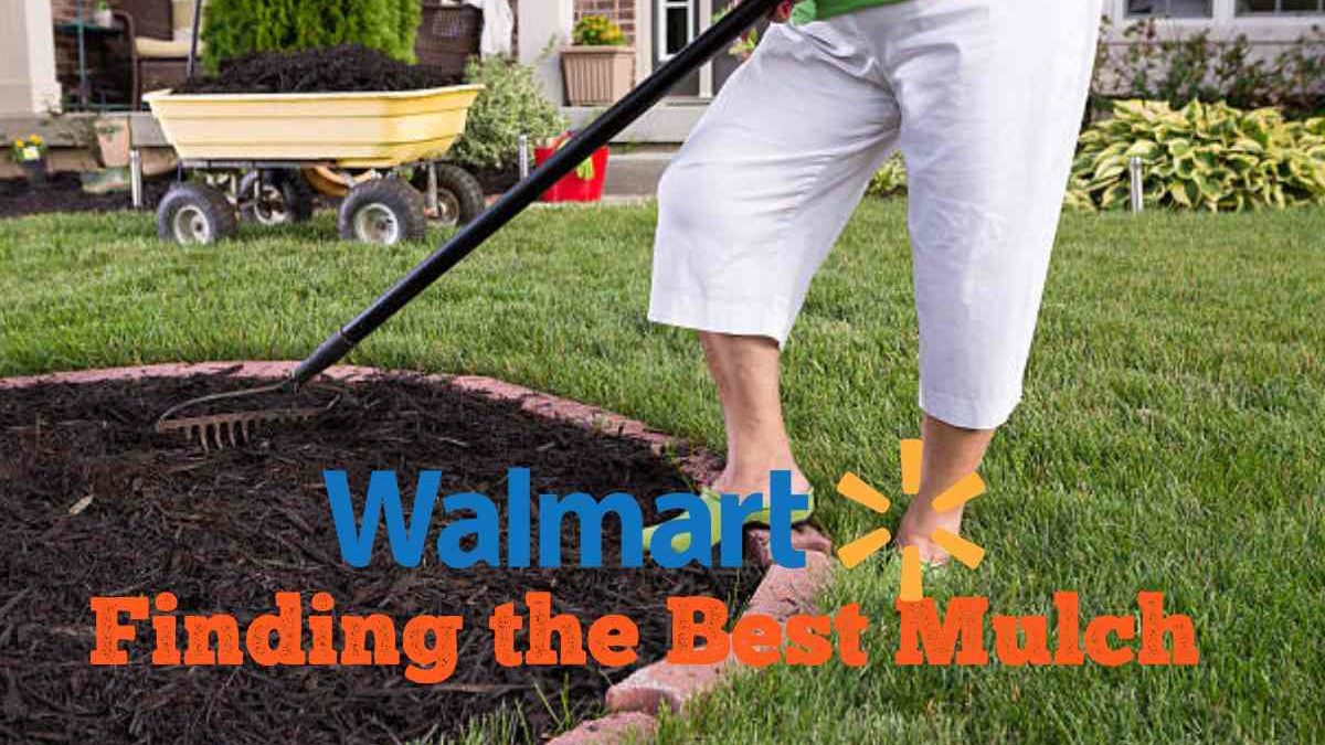 Finding the Best Mulch Near Me: Walmart & Local Options