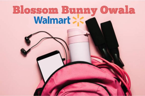 blossom bunny owala